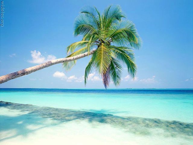 جزيرة الفردوس أكثر لالتقاط الأنفاس World%2527s+Most+Breathtaking+Island+Paradise+%25284%2529