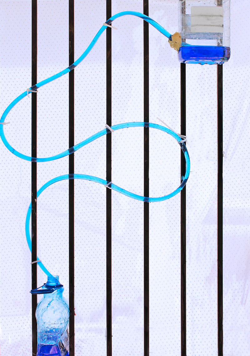 Water Siphon Science Experiment Munchkins and Mayhem