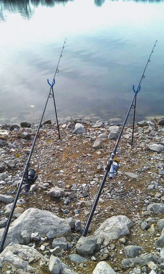 Michigan Carp Fishing Blog Carp Fishing at Belleville Lake Michigan