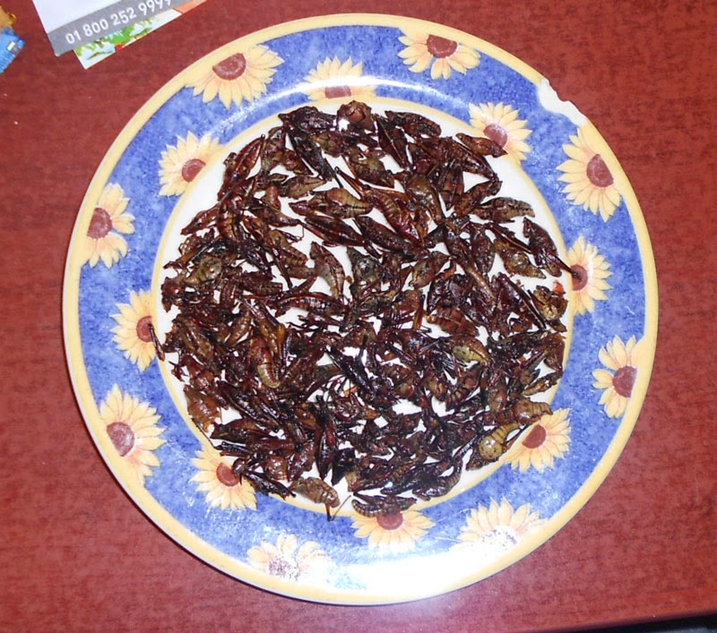 Botana de Chapulines