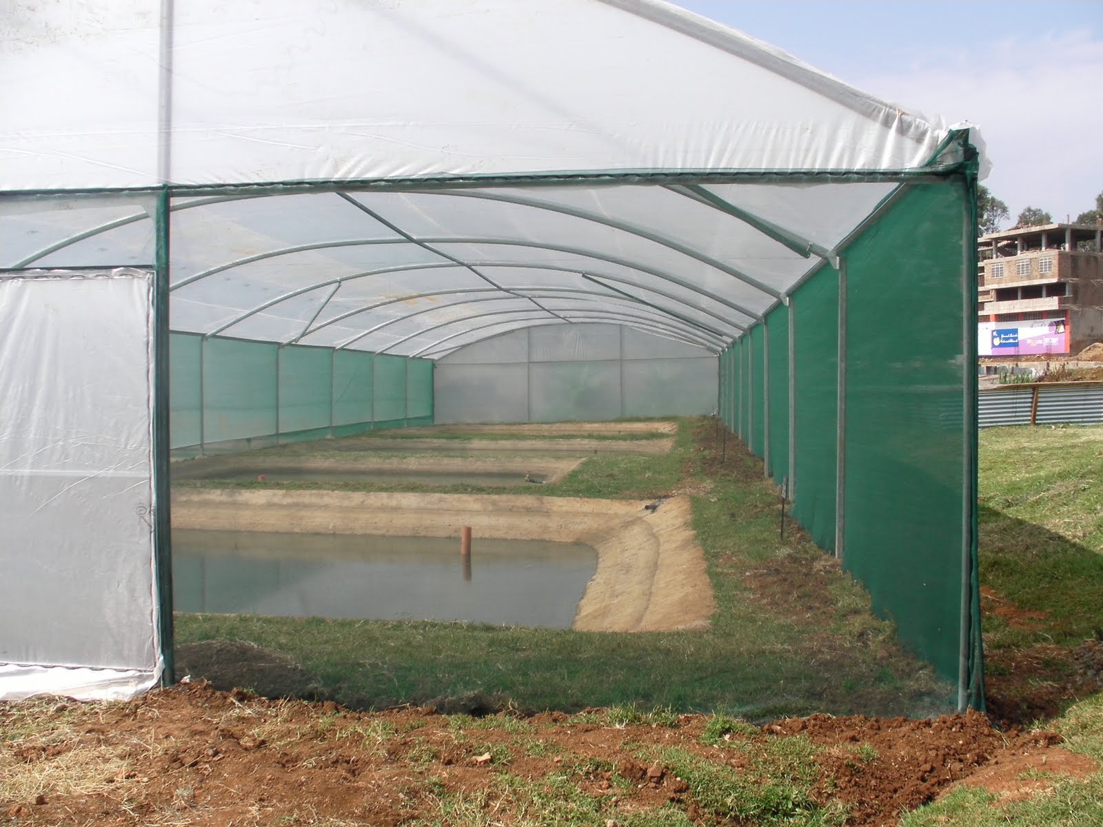 SMALLSCALE FARMING COMMERCIALIZED LUCRATIVE FISH FARMING