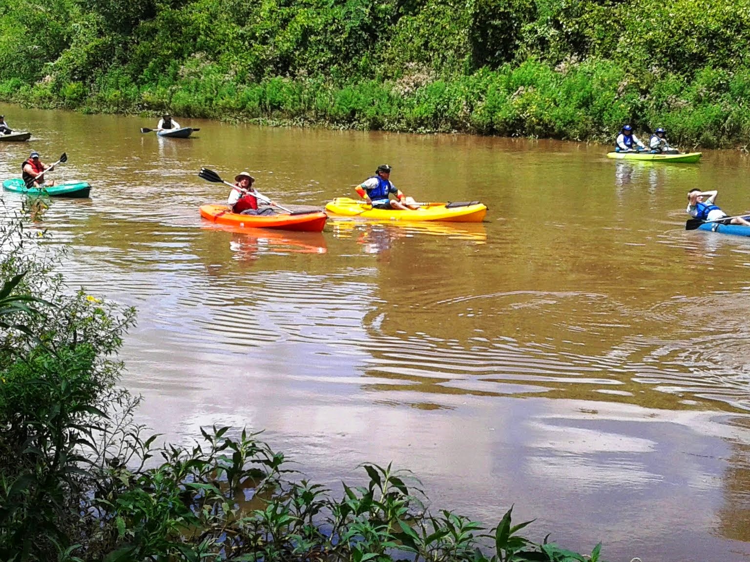 LC PALMEIRA D´OESTE - NAVEGAÇÃO ECOLÓGICA