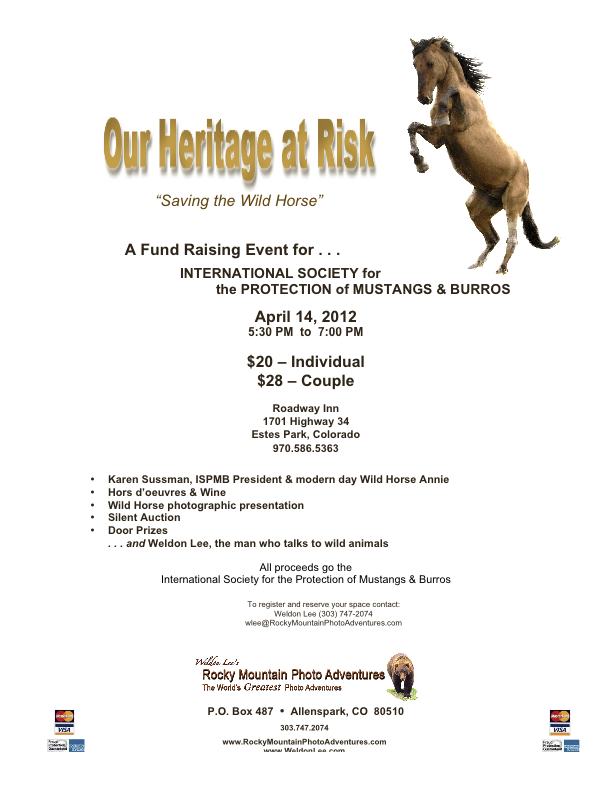 all about wildlife . . . Rocky Mountain Photo Adventures Hosts Wild