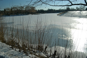 Chicago Botanic Garden