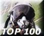 Rate Us on AVIATION's TOP 100 Websites!