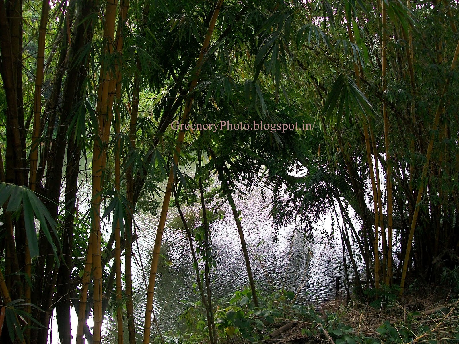 http://1.bp.blogspot.com/-BoGbpVcedZU/T81_IBxx5oI/AAAAAAAABVs/aIVgFGK9n_o/s1600/100_4749.jpg