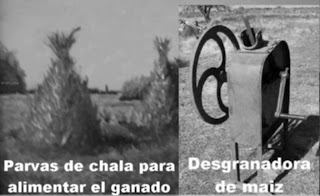 Escuelas Granjas