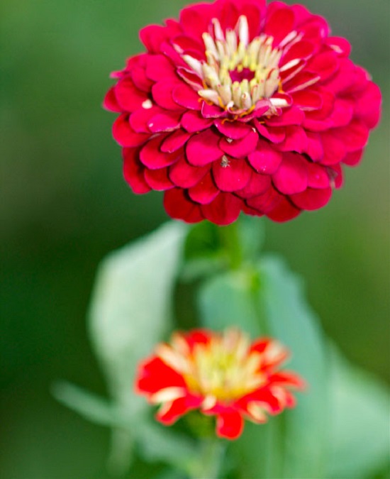 [Image: nasa-trong-hoa-cuc-ngu-sac-trong-vu-tru-5.jpg]