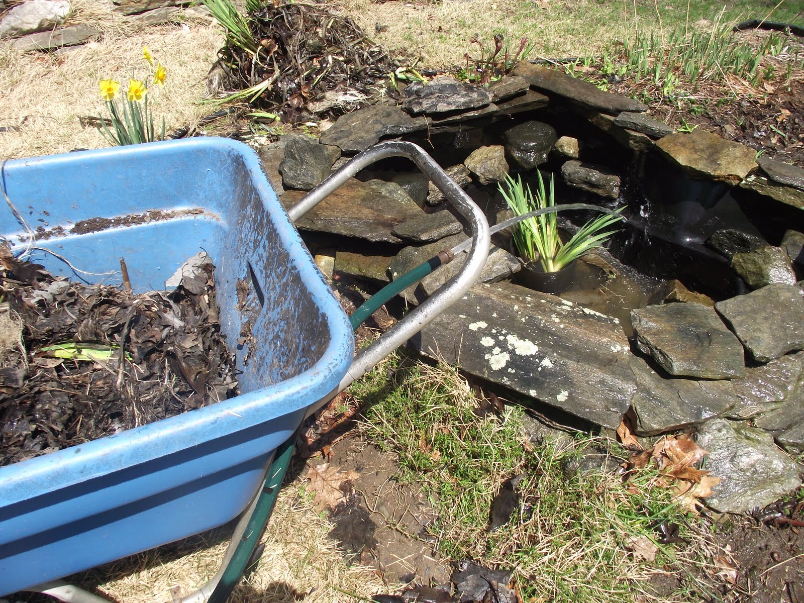 Serendipity Chic Design How to make a pond for your yard