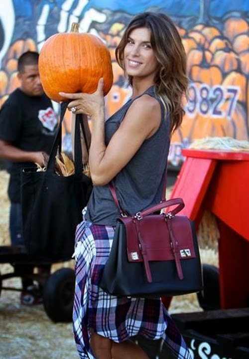 elisabetta canalis boyfriend