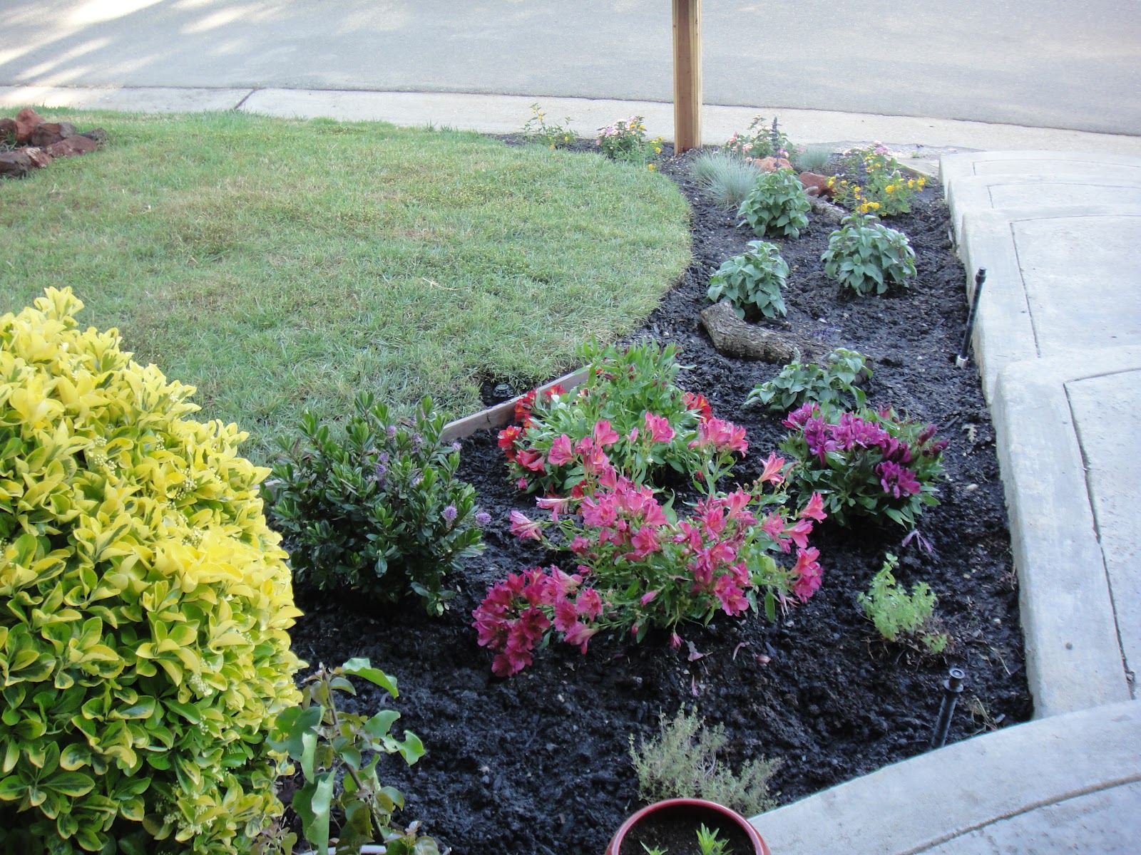 The pursuit of perennial curb appeal