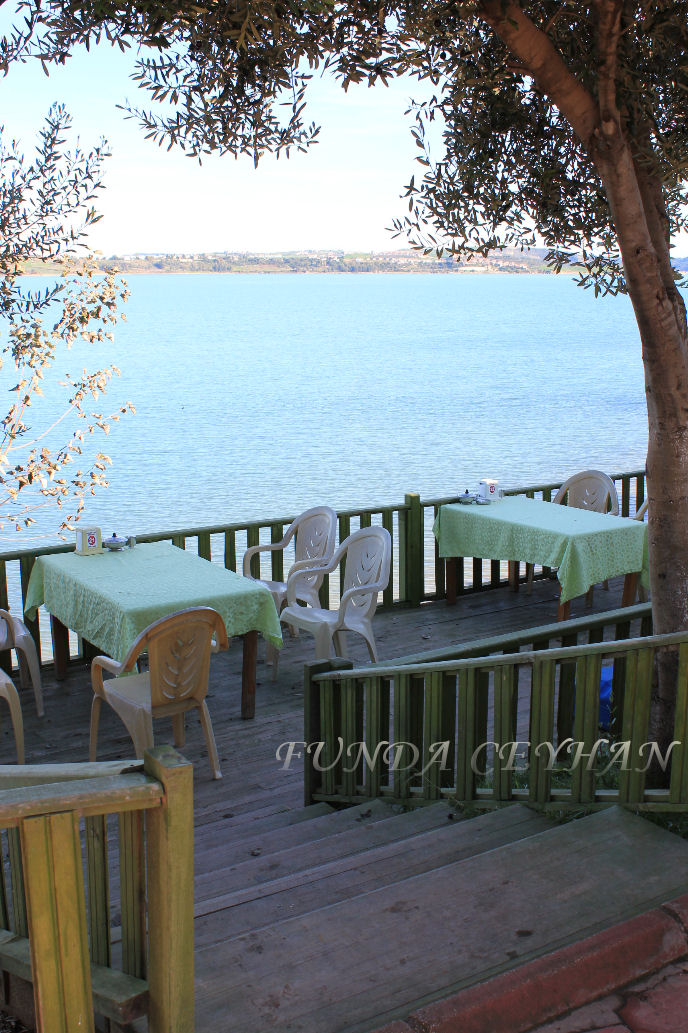 Miami Cafe Adana Ana Sayfa Facebook
