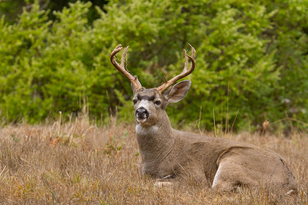 Chris The Photog Cover All the Angles