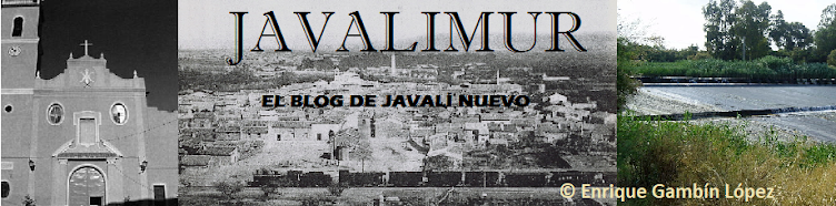 JAVALIMUR 