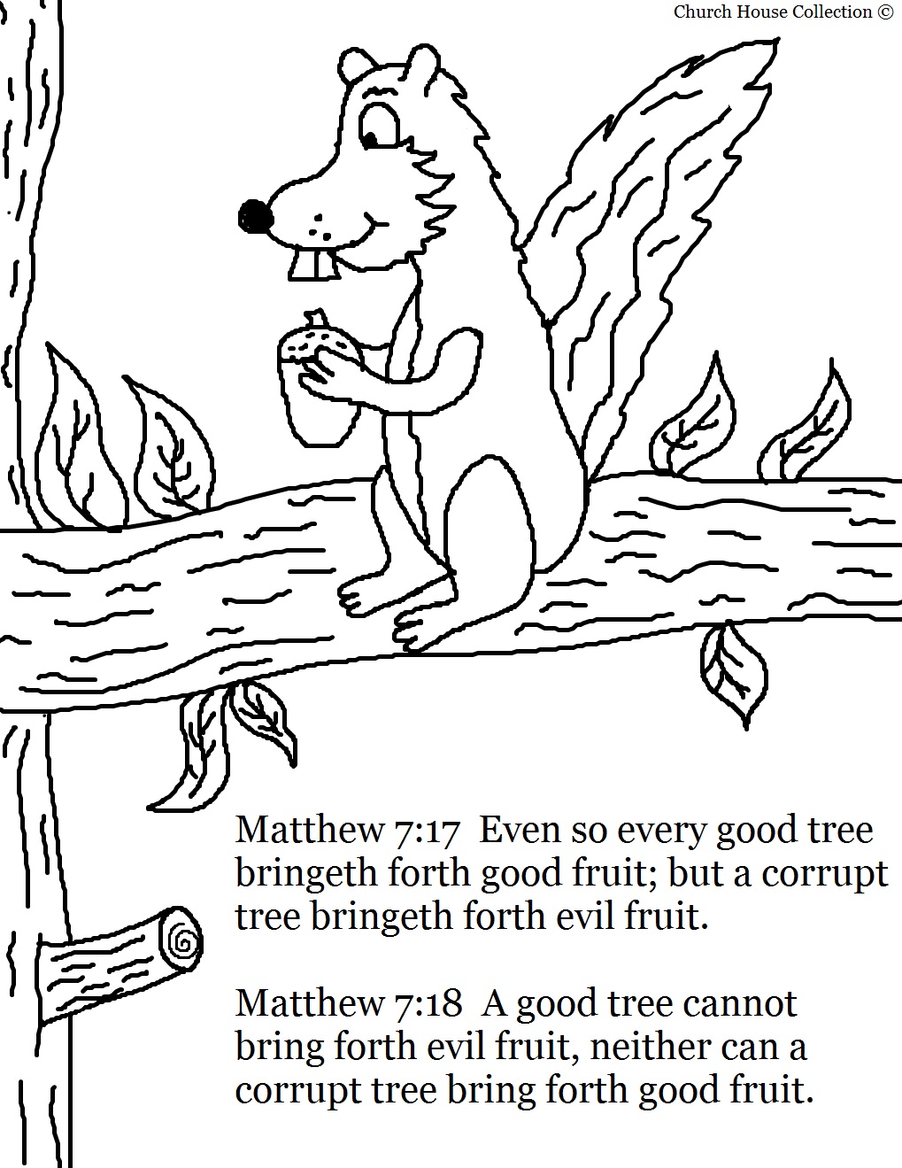 Acorn Coloring Page Acorn Coloring Page