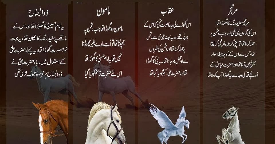 Madina: PANJTAN PAK AS