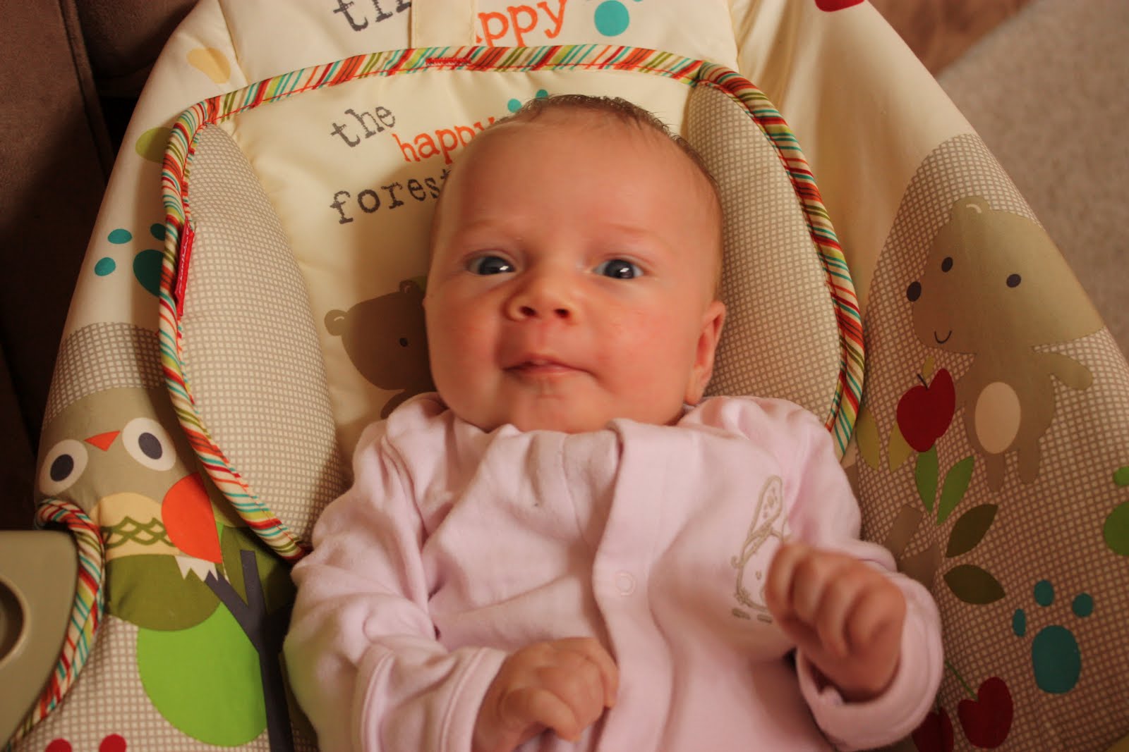 woodsy friends comfy time bouncer