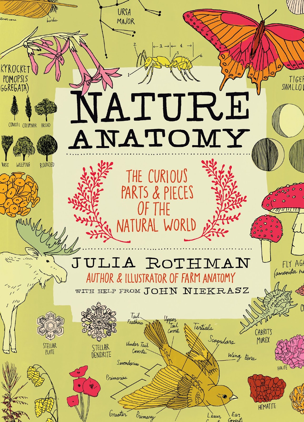 Local Ecologist Book Review Nature Anatomy, by Julia Rothman