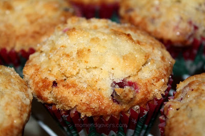 Cranberry Orange Muffins with Streusel Topping | http://www.momendeavors.com