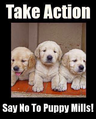 Ban Puppy Mills