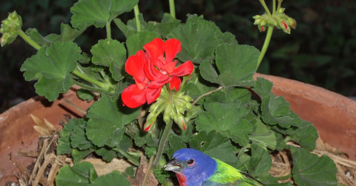 Hidden Valley RV, a Little Piece of Country in San Antonio See your