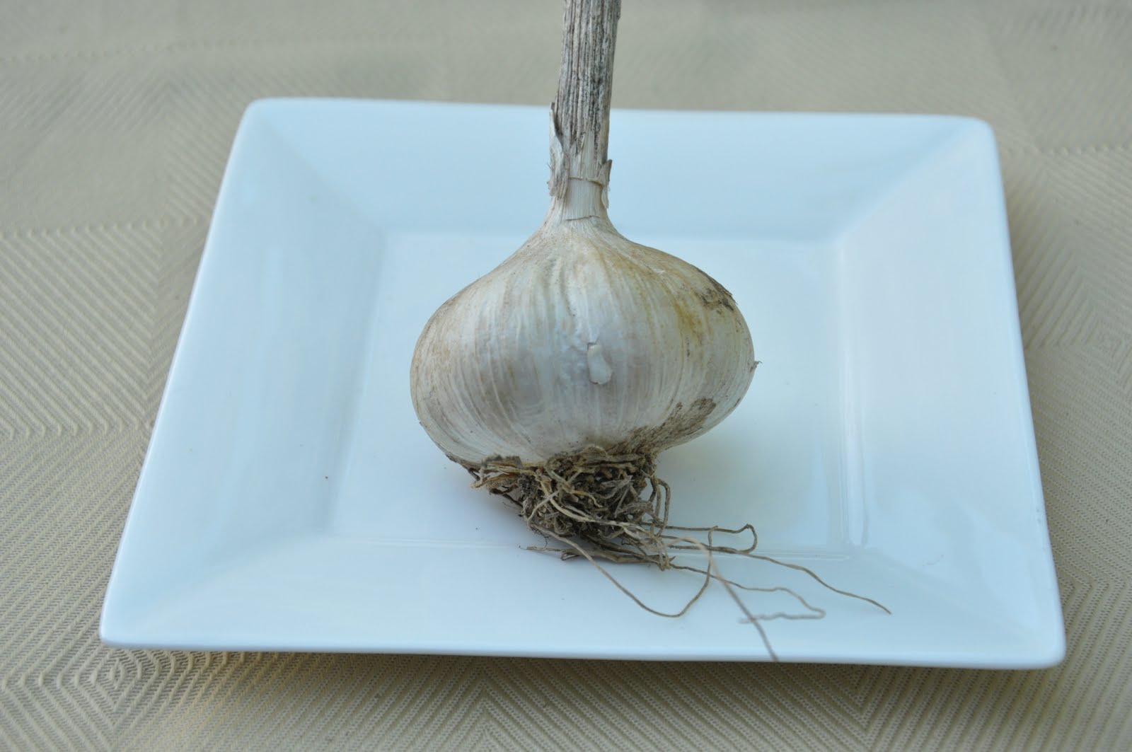 Veal Scallopini Marsala