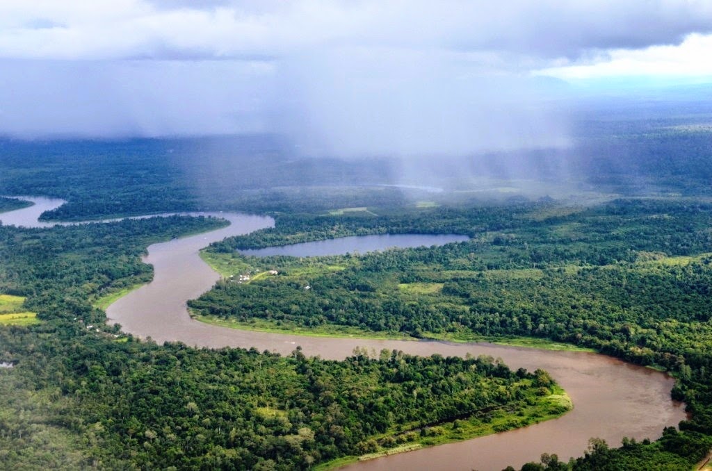 PICNESIA: Surga Tersembunyi di Taman Nasional Betung Kerihun