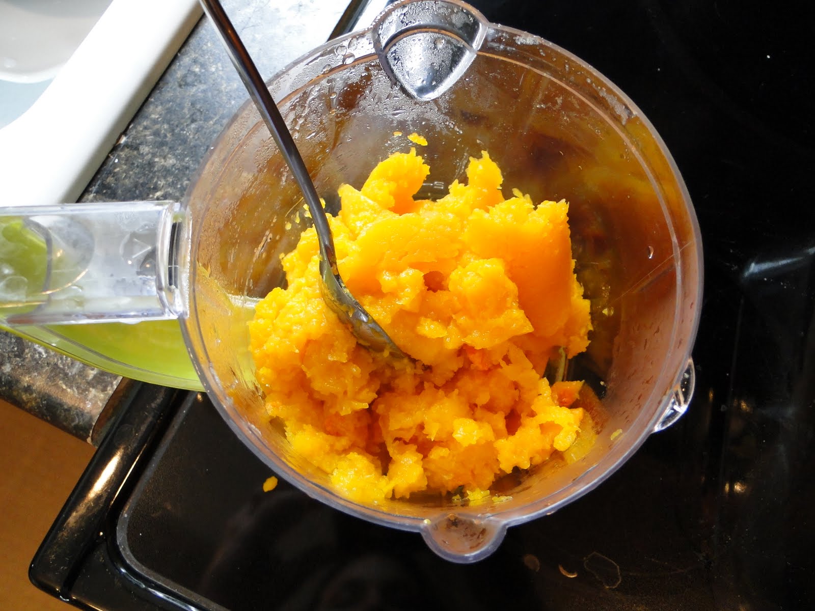 Mama and Mister How to Make Squash Baby Food