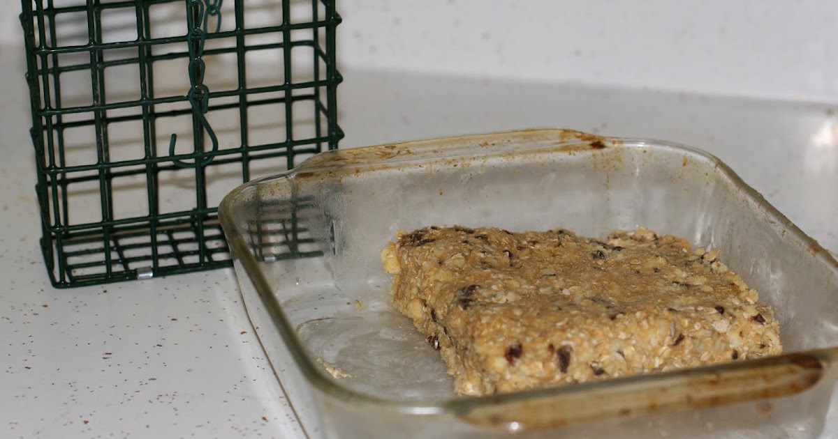 Along the Ausable Vegetarian Bird Suet