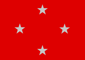 Londrina Flag