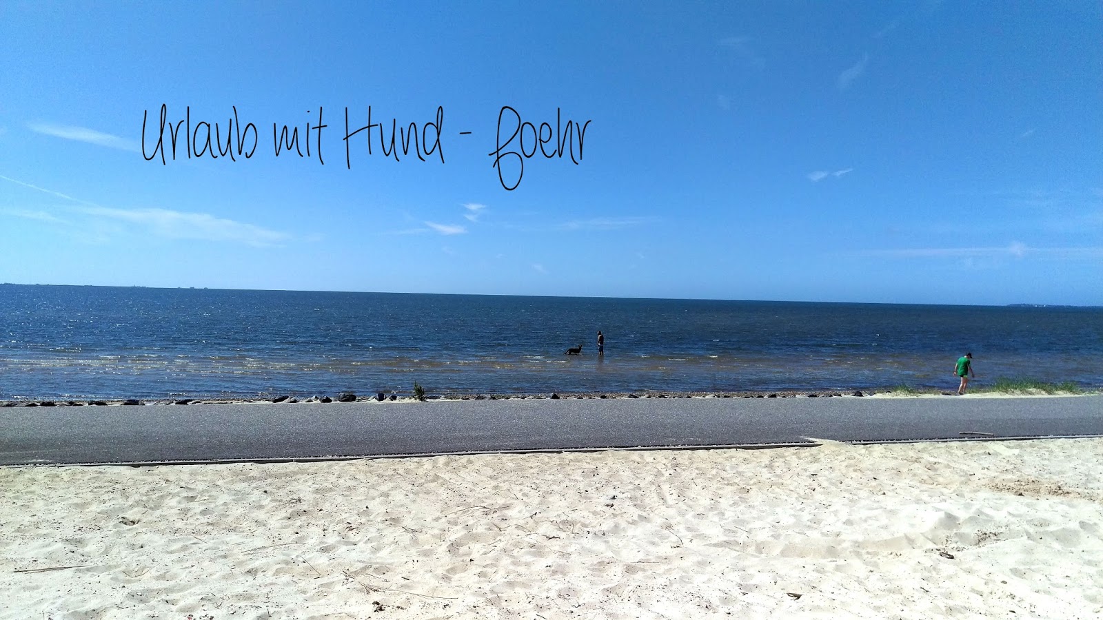 Hoflove Urlaub mit Hund Föhr…Nordsee ganz zahm