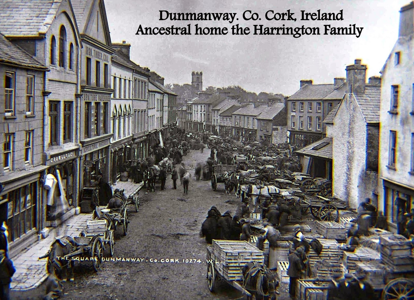 Harrington Family of Dunmanway, County Cork, Ireland