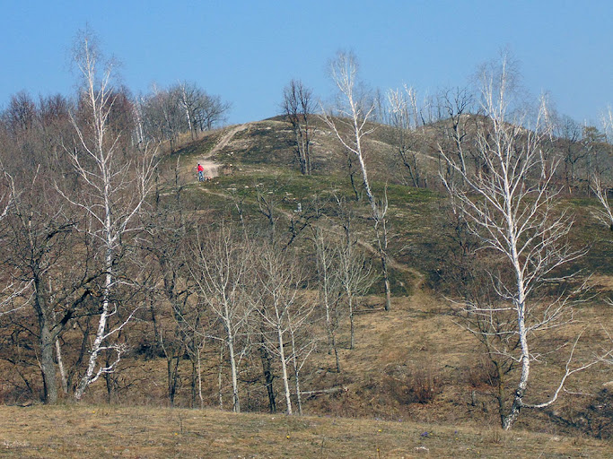 Гора в Жигулевске напротив микрорайона В-3