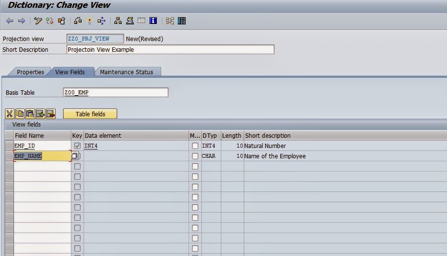 I am ABAP Projection View