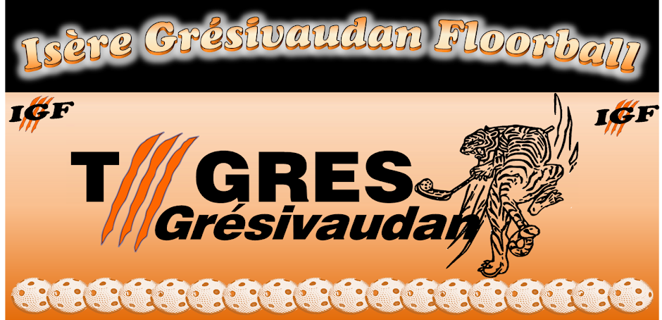 Isère Grésivaudan Floorball