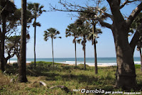 Park Bijilo - Palmy widok na ocean