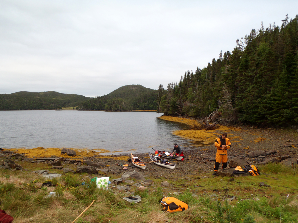 My Newfoundland Kayak Experience Placentia Bay 2015 A short paddle