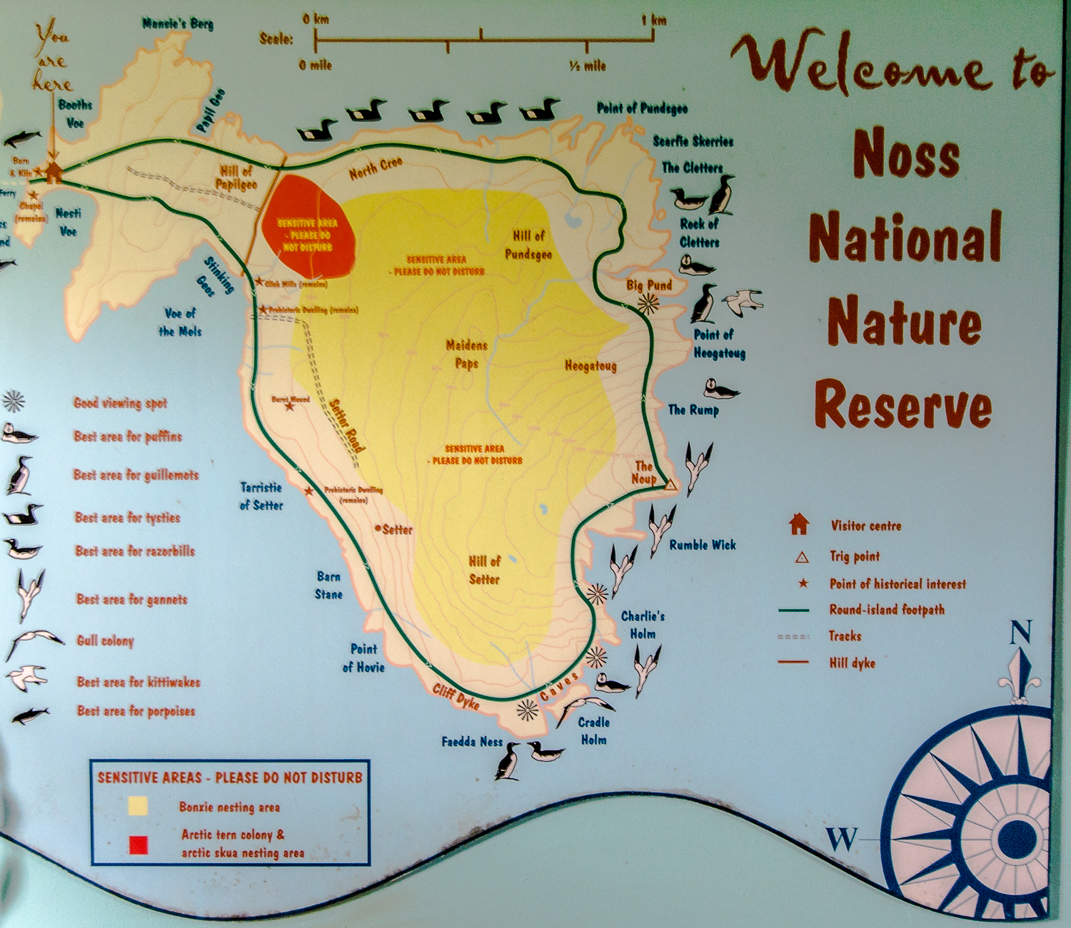 Bressay population picture