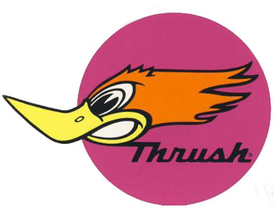 Thrush bird logo |Funny Animal