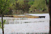 " Después de la lluvia "