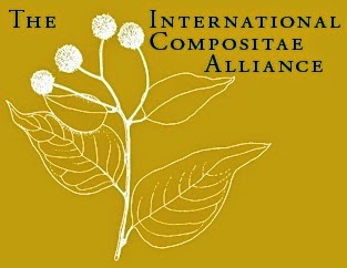 The International Compositae Alliance
