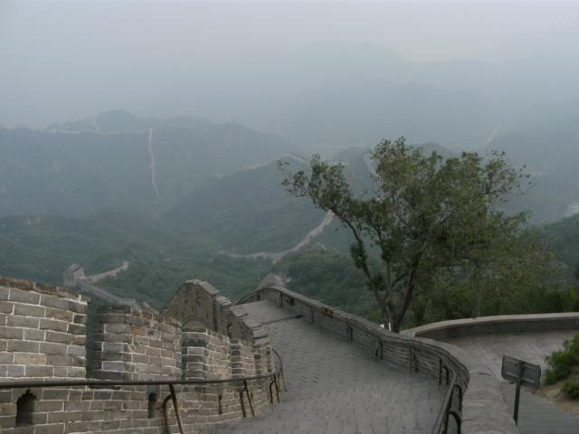 Dr Angsthase Chinesische Mauer Shogun