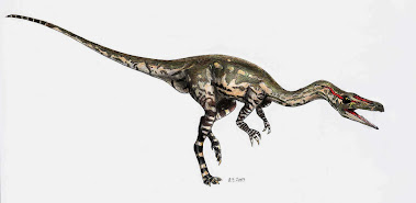 Coelophysis bauri