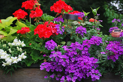 Planters Healthy Planter