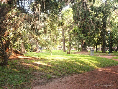 Interior del Jardín Botánico de Buenos Aires