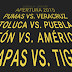 La Liguilla del Apertura 2015