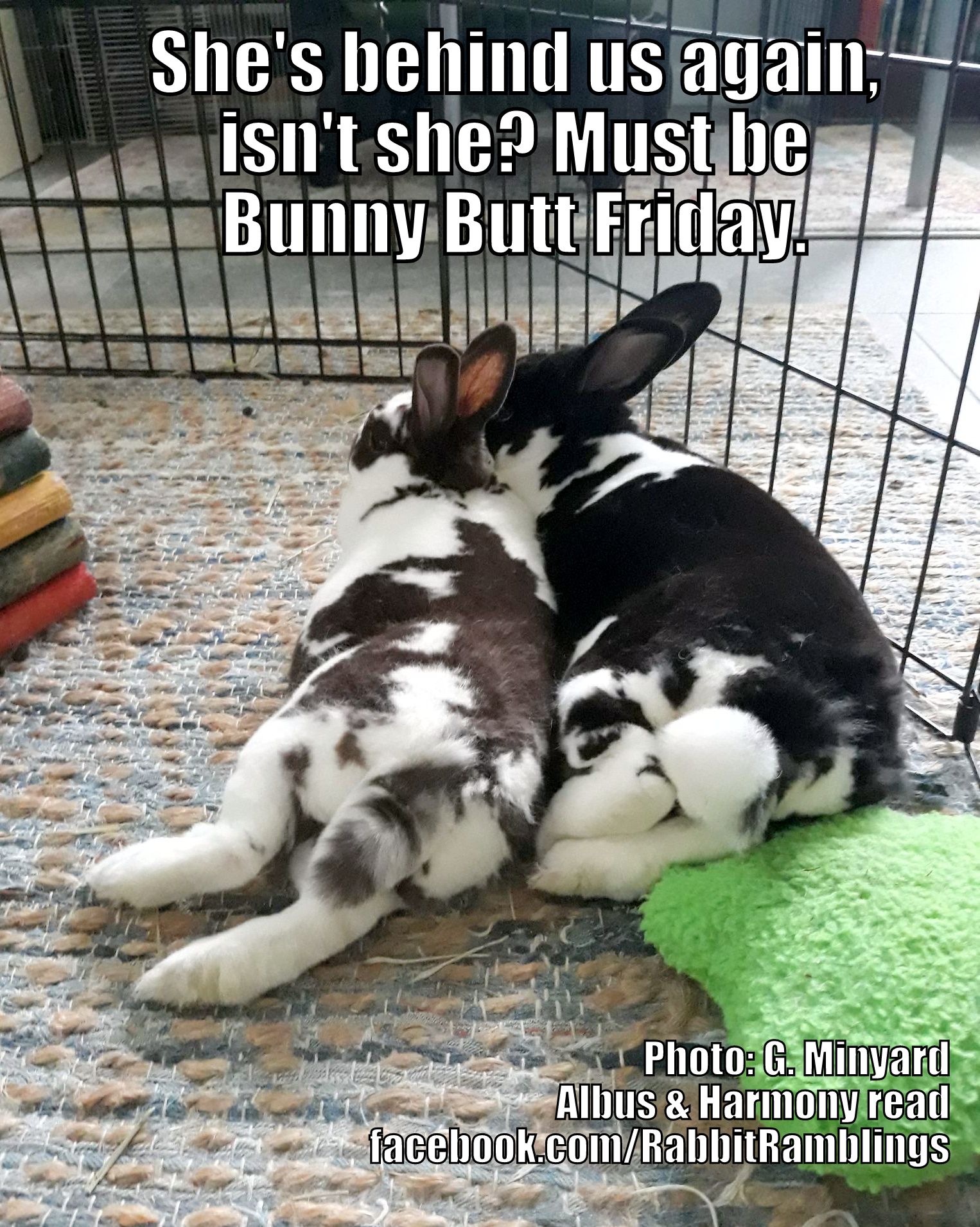 Butt bunny
