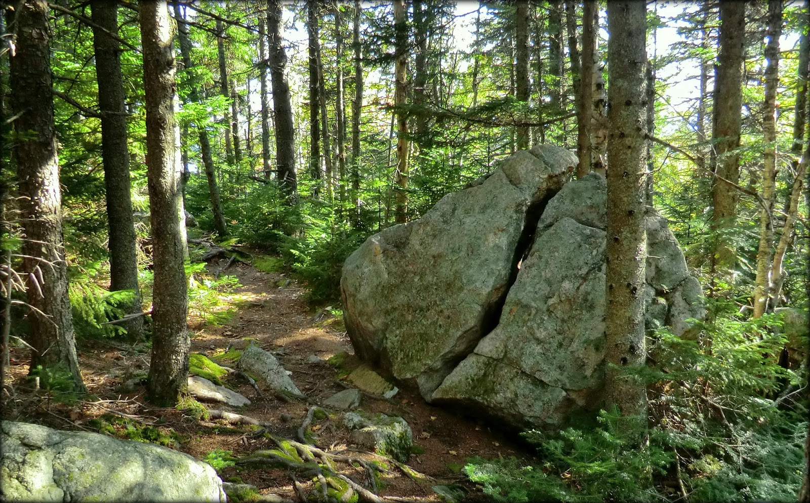 1HappyHiker A Trek to Blueberry Mountain (the one near Weld, Maine)