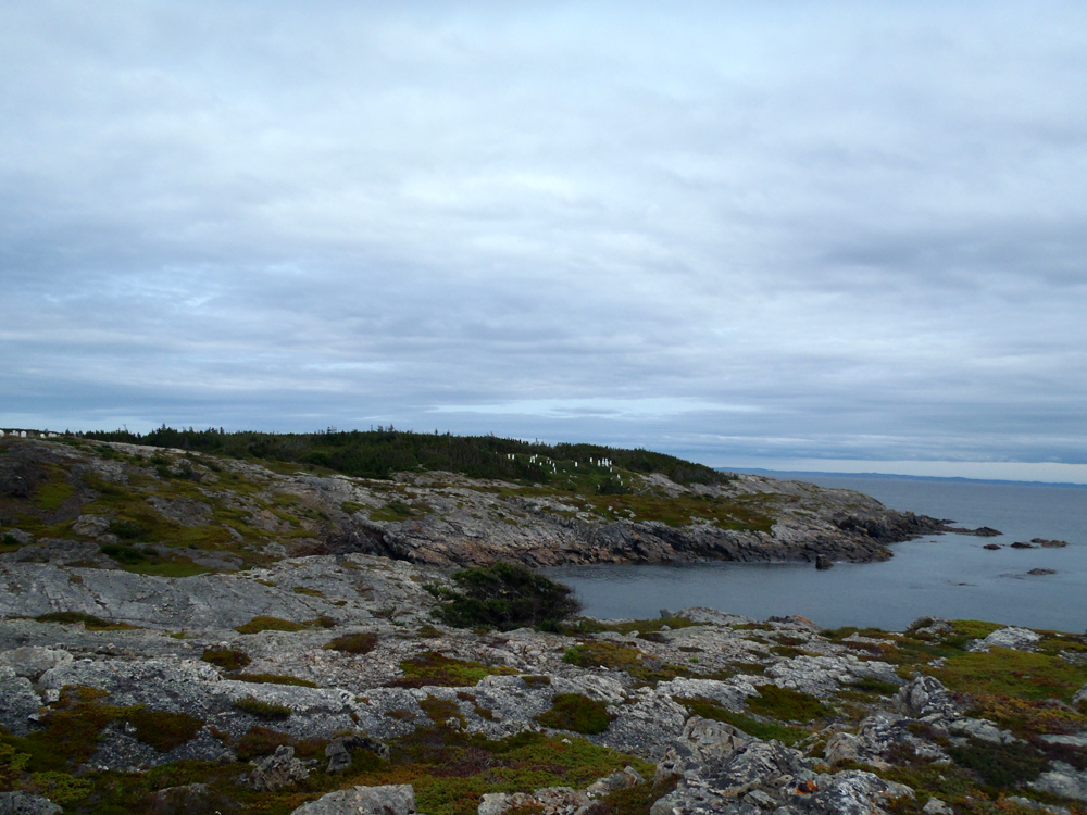 My Newfoundland Kayak Experience Bonavista Bay Flat Island walkabout