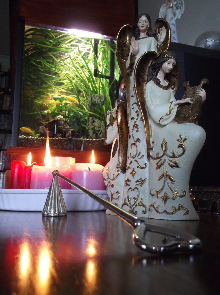 Every Bed of Roses Candle Care